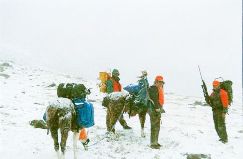 Hunting in snow