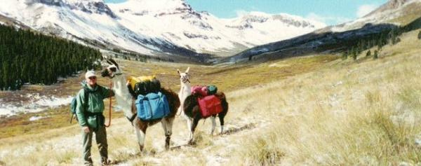 Elk Hunting 1