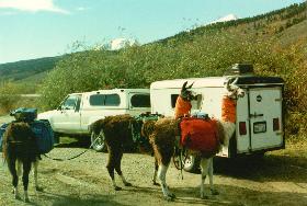 Elk Hunting 2