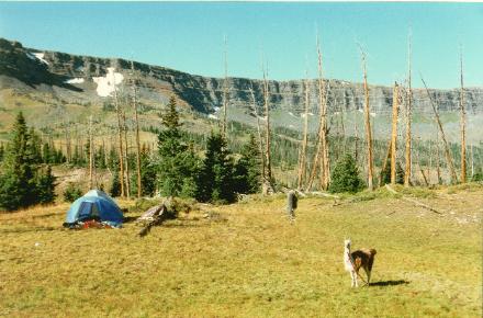 Elk Hunting 1