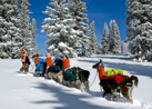 Trekking through the Seasons