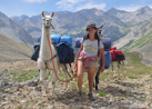 Llama Treks in Colorado